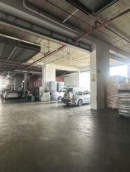 Eldix (D25), Factory #566794071